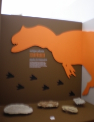 Visitas guiadas às exposições do museu